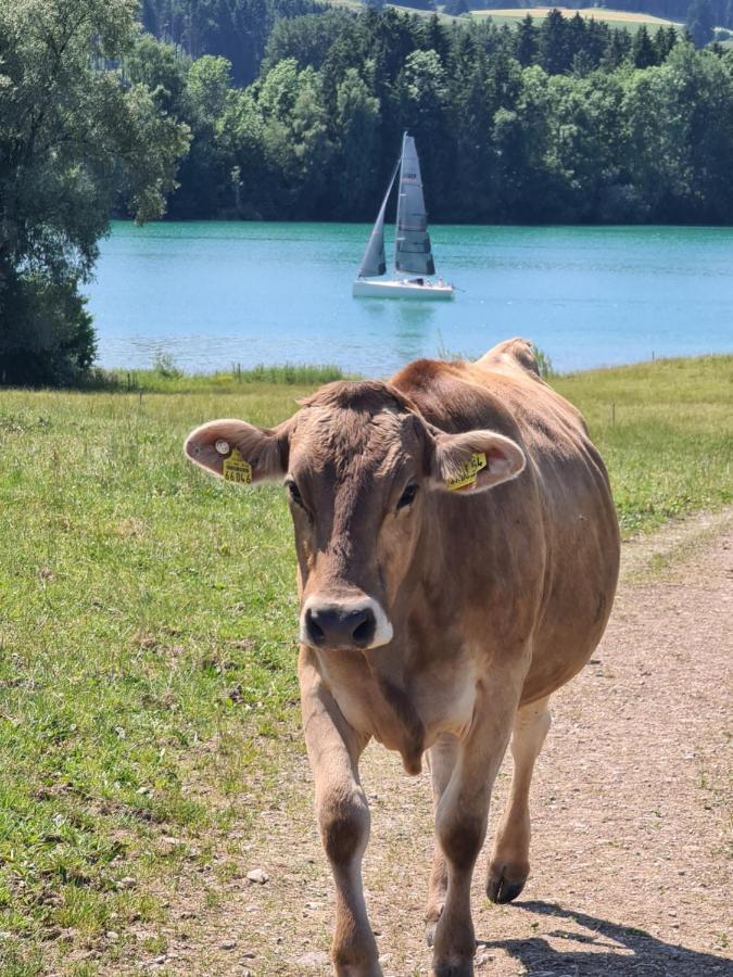 Und Berger Füssen